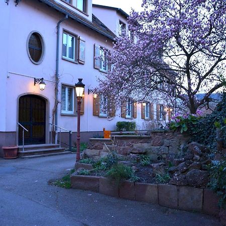 Logis Hotel Du Centre - Halte Ideale En Cyclotourisme Avec Garage A Velos Clos Molsheim Ngoại thất bức ảnh